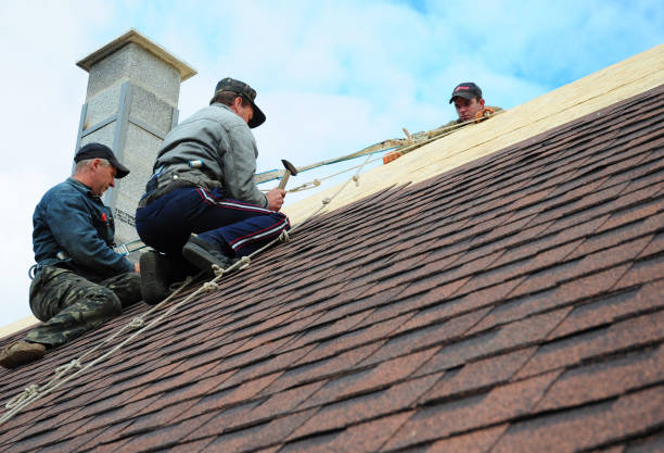 Best Roof Leak Repair  in Steamboat Springs, CO